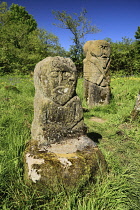 Ireland, County Fermanagh, Boa Island, Carved stone pagan figures that stand in Caldragh cemetery.