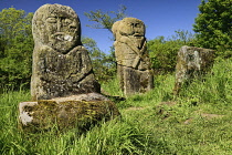 Ireland, County Fermanagh, Boa Island, Carved stone pagan figures that stand in Caldragh cemetery.