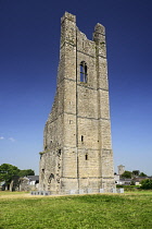 Ireland, County Meath, Trim, The Yellow Steeple.