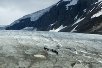 Canada, Alberta, Columbia Icefield, Group of tourists walking up the Athabasca Glacier.
