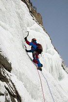 Canada, Alberta, Banff National Park, Ice climber climbing Cascade Falls.