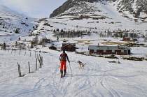Norway, Hemsedal, Cross country skier and dog heading off into the mountains.