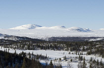 Norway, Central Region, Buskerud County, View of Vindhaugen peak with frozen lake and forested areas in foreground.