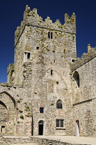 Ireland, County Wexford, Tintern Abbey, 13th century Cistercian Abbey.