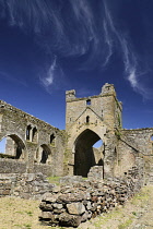 Ireland, County Wexford, Dunbrody Abbey, 12th Century Cistercian Abbey.