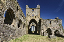 Ireland, County Wexford, Dunbrody Abbey, 12th Century Cistercian Abbey.