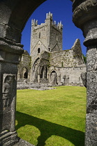 Ireland, County Kilkenny, Jerpoint Abbey near Thomastown.