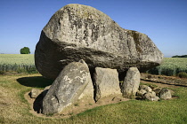 Ireland, County Carlow, Brownshill Dolmen.