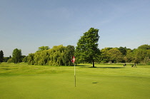 Sport, Leisure, Golf,View of the 14th Green and flag on J H Taylor Course Royal Mid-Surrey Golf Club Richmond Surrey England.