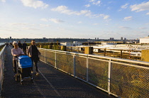 USA, New York, Manhattan, wild plant area and original rails of the disused elevated West Side Line railroad making the High Line linear park beside the Hudson Rail Yards with trains at the north end...