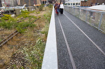 USA, New York, Manhattan, wild plant area and original rails of the disused elevated West Side Line railroad making the High Line linear park beside the Hudson Rail Yards with trains at the north end...