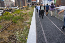 USA, New York, Manhattan, wild plant area and original rails of the disused elevated West Side Line railroad making the High Line linear park beside the Hudson Rail Yards with trains at the north end in Midtown.