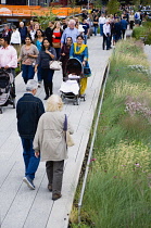 USA, New York, Manhattan, people walking among plants on the High Line linear park on an elevated disused railroad spur called The West Side Line beside the Hudson Rail Yards.