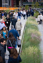 USA, New York, Manhattan, people walking among plants on the High Line linear park on an elevated disused railroad spur called The West Side Line beside the Hudson Rail Yards.