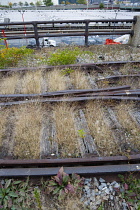 USA, New York, Manhattan, wild plant area and original rails of the disused elevated West Side Line railroad making the High Line linear park beside the Hudson Rail Yards with trains at the north end...