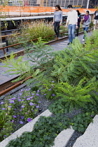 USA, New York, Manhattan, people walking among plants and old rails on the High Line linear park on an elevated disused railroad spur called The West Side Line beside the Hudson Rail Yards.