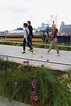 USA, New York, Manhattan, people walking among plants on the High Line linear park on an elevated disused railroad spur called The West Side Line beside the Hudson Rail Yards.