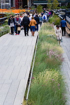 USA, New York, Manhattan, people walking among plants on the High Line linear park on an elevated disused railroad spur called The West Side Line beside the Hudson Rail Yards.