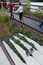 USA, New York, Manhattan, people walking among plants and old rails on the High Line linear park on an elevated disused railroad spur called The West Side Line beside the Hudson Rail Yards.