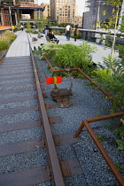 USA, New York, Manhattan, people walking among plants and old rails on the High Line a linear park on an elevated disused railroad spur called the West Side Line at the northern end beside the Hudson...