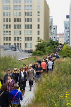 USA, New York, Manhattan, people walking through the Wildflower Field on the High Line linear park on a disused elevated railroad spur called the West Side Line running between high rise buildings in...