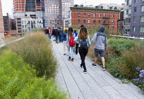 USA, New York, Manhattan, people walking through the Wildflower Field on the High Line linear park on a disused elevated railroad spur called the West Side Line running between high rise buildings in...