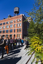 USA New York, Manhattan, people walking beside small trees in the Chelsea Thicket on the High Line linear park on a disused elevated railroad spur of the West Side Line passing a red brick factory war...