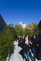 USA, New York, Manhattan, people walking beside small trees in the Chelsea Thicket on the High Line linear park on a disused elevated railroad spur of the West Side Line.