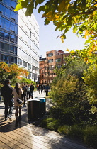 USA, New York, Manhattan, people walking in autumn on the High Line linear park on an elevated disused railroad spur called the West Side Line.