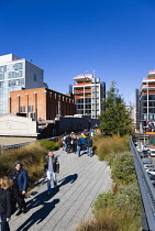 USA, New York, Manhattan, people walking among grasses in the Chelsea Grasslands on the High Line linear park on a disused elevated railroad spur called the West Side.