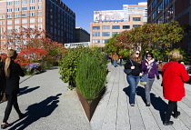 USA, New York, Manhattan, people walking along the Sundeck beside plants in autumn colours leading to the Chelsea Market Passage on the High Line linear park on a disused elevated railroad spur called...