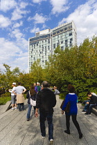 USA, New York, Manhattan, people walking in The Gansevoort Woodland on the High Line a linear park on an elevated disused railroad called the West Side Line.