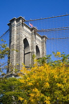 USA, New York, Brooklyn Bridge Park, detail of one of the suspension bridge towers against a blue sky in autumn colours.