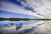 Ireland, County Mayo, Boats moored on Lough Carra.