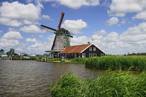 Netherlands, Noord Holland, Zaanse Schans village with restored windmills, De Zoeker windmill or The Seeker which is an oil mill.