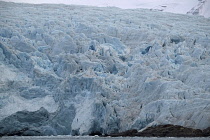 Norway, Svalbard, Nordenskild Glacier, Blue ice, Glacier calving, Sea ice, Rettrettoya island.