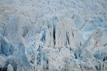 Norway, Svalbard, Nordenskild Glacier, Blue ice, Ice worn rock outcrop, Glacier front ready to calve ice into the fjord.