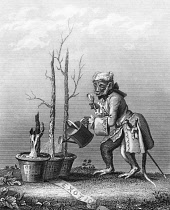 England, an Engraving by William Hogarth on the Tailpiece to the artist's catalogue of 1761, depicting a monkey watering sticks as a satirical contrast to the frontispiece which depicts Britannia and...