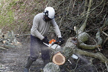 Climate, Weather, Storms, Man using chain saw to remove tree fallen during storm winds.