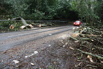Transport, Road, Cars, Cleared tree removed from blocking carriageway after storm.