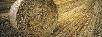 Agriculture, Farming, Crops, Hay bale in harvested field, Highlands, Scotland.