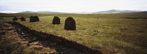 Scotland, Highlands, Peat drying out after being cut near Ullapool.