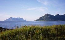 Norway, Nordland, Finneskua Peninsula, Isle of Fugloya   766 metres above sea level to the left of the Finneskua Peninsula beside village of Storvik.