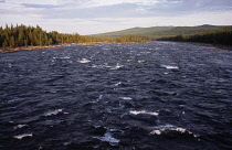 Sweden, Norrbotten, River Pitealven, View along stretch of river South East from Route 45  fifty-two kilometres North East of town of Arvidsjaur  towards tree covered landscape.