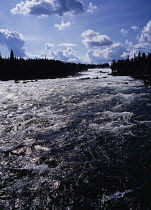 Sweden, Norrbotten, Pitealven River, View up Storforsen Rapids twenty-five miles north west of Alusbyn town.  Expanse of fast flowing  sparkling water and silhouetted tree line. A fall of 80 metres at...