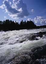 Sweden, Norrbotten, Pitealven River, View across Storforsen Rapids  25 miles north west of Alusbyn town.  Expanse of fast flowing  churning water with silhouetted line of coniferous trees beyond.  A f...