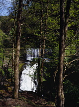 Wales, Brecon Beacons, Afon Mellte, Sgwd Isaf Clun Gwyn Waterfall part framed by oak trees.