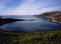 Norway, Finnmark, Nordkinnhalvoya, Skittenfjorden.  Circular bay of flat calm water with rocky  eroded shoreline and wild flowers and grasses growing in foreground.  Blue sky and high  windswept cloud...