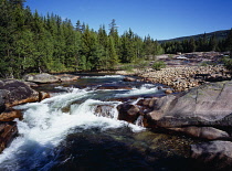Norway, Telemark, Tessungdalen, River Austbygdaa.  Water flowing across polished granite bedrock lined by trees.