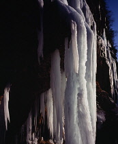 Spain, South Pyrenees, Navarra, Valle de Roncal. Roadside  icicles.